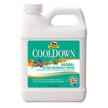 Load image into Gallery viewer, Absorbine CoolDown® After Workout Rinse Concentrate