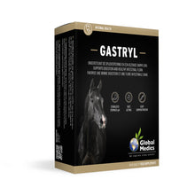Load image into Gallery viewer, Global Medics Gastryl 10 x 60g pastas