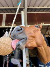 Load image into Gallery viewer, Unika Elyte Ball