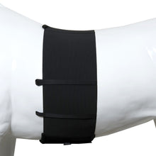 Load image into Gallery viewer, ONE Equestrian elastic body bandage 175cm