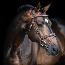 Load image into Gallery viewer, LJ leathers Pro Selected bridle LEGENDARY