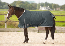 Load image into Gallery viewer, Turnout rug Thor 300g