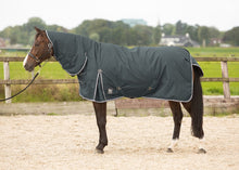 Load image into Gallery viewer, Harry's Horse turnout rug Thor with a neck 200g