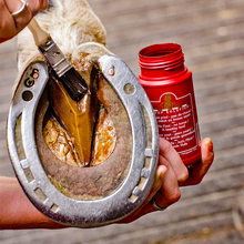 Load image into Gallery viewer, Kevin Bacon's hoof solution