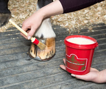 Load image into Gallery viewer, Kevin Bacon's hoof dressing