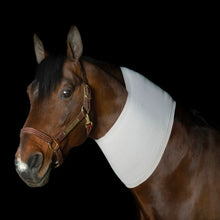 Load image into Gallery viewer, Incrediwear Equine Circulation Neck Sleeve