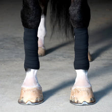 Load image into Gallery viewer, Incrediwear Equine Circulation Exercise Bandages