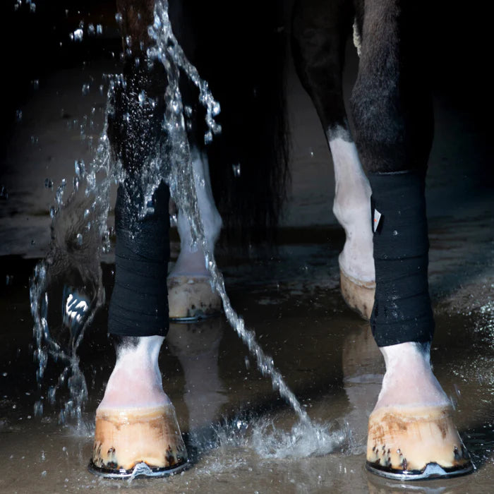 Incrediwear Equine Circulation Exercise Bandages Audruvis Equistore