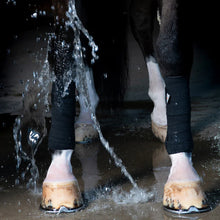 Load image into Gallery viewer, Incrediwear Equine Circulation Exercise Bandages