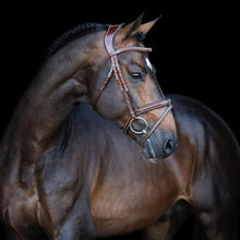 Load image into Gallery viewer, LJ leathers Pro Selected bridle LEGENDARY