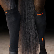 Load image into Gallery viewer, Incrediwear Equine Circulation Socks black
