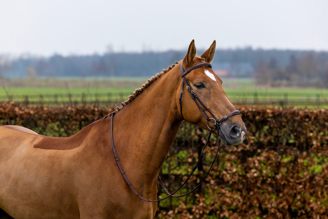 TRUST Barcelona bridle drop noseband