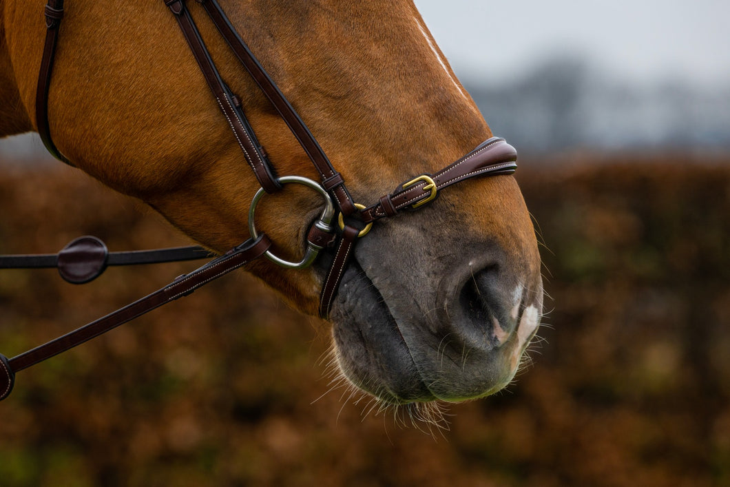 TRUST Barcelona bridle drop noseband