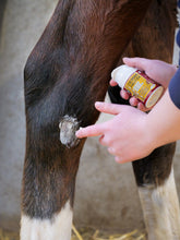 Load image into Gallery viewer, Kevin Bacon's Derma Protek
