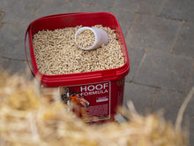 Load image into Gallery viewer, Kevin Bacon's Hoof Formula

