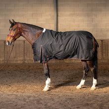 Load image into Gallery viewer, Harry’s Horse turnout rug Thor 200g
