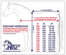 Load image into Gallery viewer, Harry’s Horse turnout rug Thor 200g
