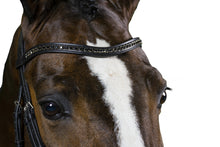 Load image into Gallery viewer, TRUST browband with black diamonds
