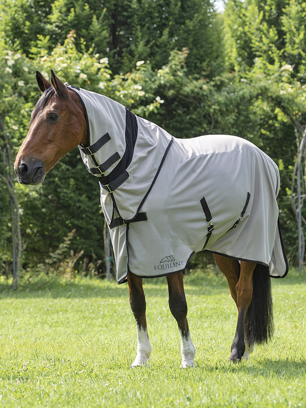 Equiline mesh paddock blanket with neck