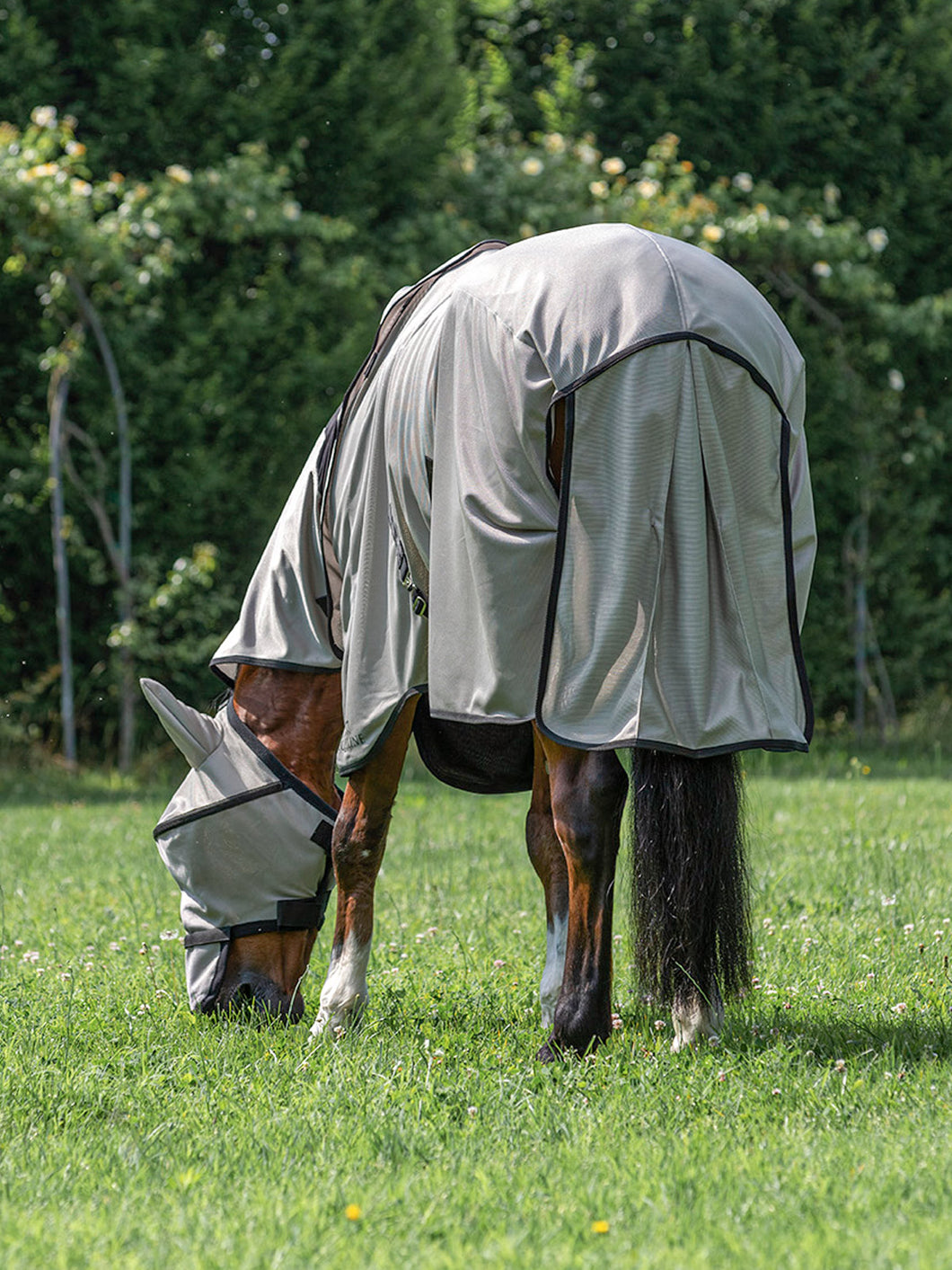 Equiline mesh paddock blanket with neck