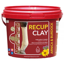 Load image into Gallery viewer, Kevin Bacon's Recup Clay 3kg
