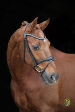 Load image into Gallery viewer, LJ Leathers bridle DIAMOND with flash noseband + RUBBER GRIP REINS
