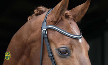 Load image into Gallery viewer, LJ Leathers bridle DIAMOND with flash noseband + RUBBER GRIP REINS

