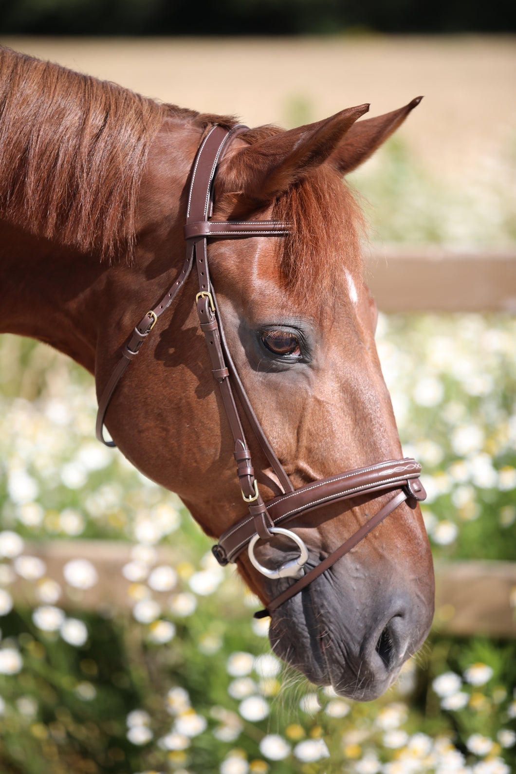 LJ Leathers bridle NEW FANCY with flash noseband + RUBBER GRIP REINS