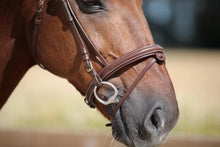 Load image into Gallery viewer, LJ Leathers bridle NEW FANCY with flash noseband + RUBBER GRIP REINS
