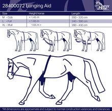 Load image into Gallery viewer, Harry&#39;s Horse soft lunging ropes
