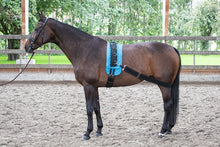 Load image into Gallery viewer, Harry&#39;s Horse elastic lunging band
