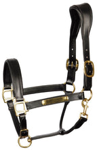 Load image into Gallery viewer, Harry&#39;s Horse leather halter
