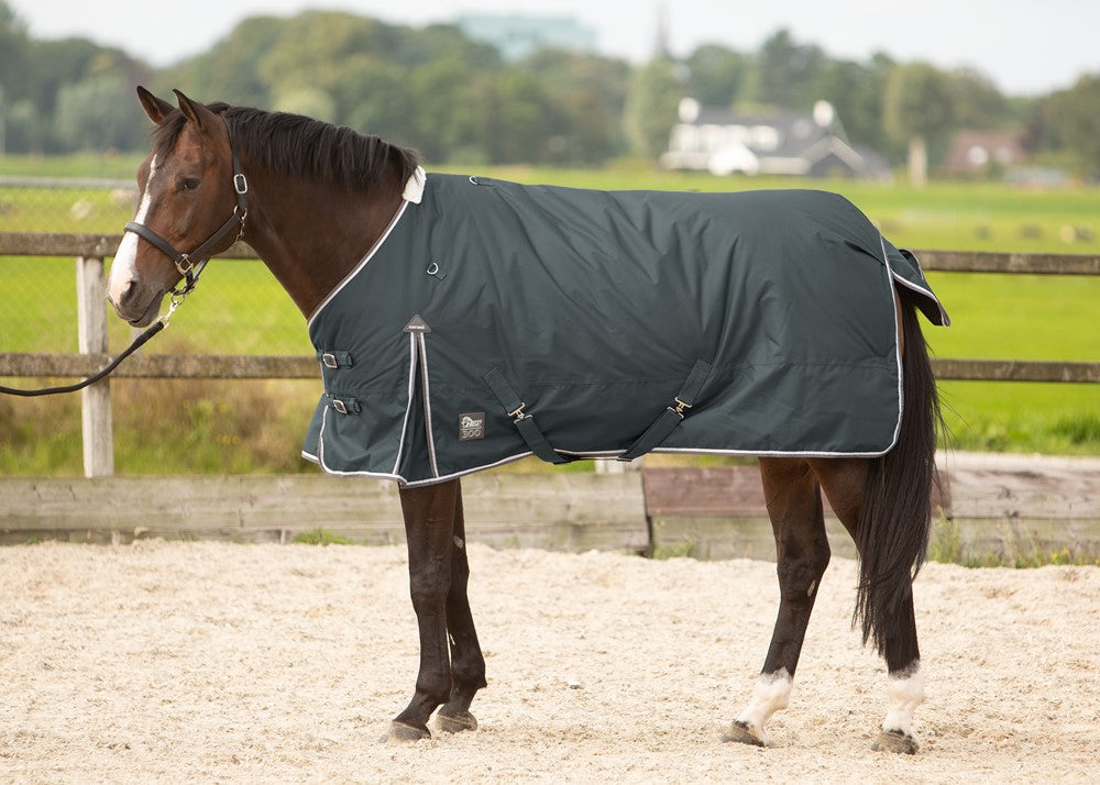 Turnout rug Thor 300g