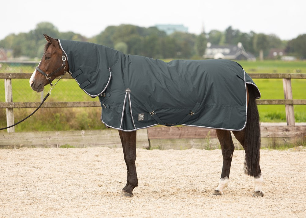 Harry's Horse turnout rug Thor with a neck 200g