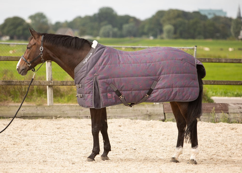 Stable rug Highliner Snow 2021 200g – Audruvis Equistore