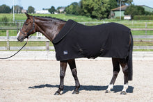 Load image into Gallery viewer, Harry’s Horse fleece rug with roll-up neck
