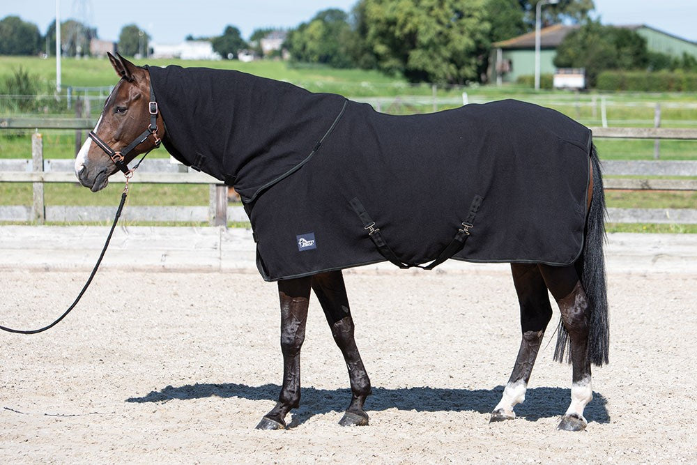 Harry’s Horse fleece rug with roll-up neck
