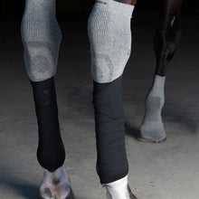 Load image into Gallery viewer, Incrediwear Equine Circulation Exercise Bandages
