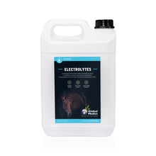 Load image into Gallery viewer, Global Medics Liquid Electrolytes (1L or 5L)
