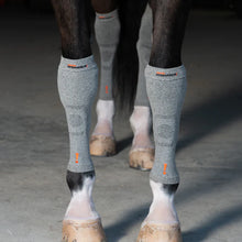 Load image into Gallery viewer, Incrediwear Equine Circulation Socks grey
