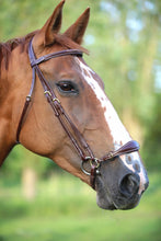Load image into Gallery viewer, LJ Leathers Pro Selected bridle with fancy DROP NOSEBAND
