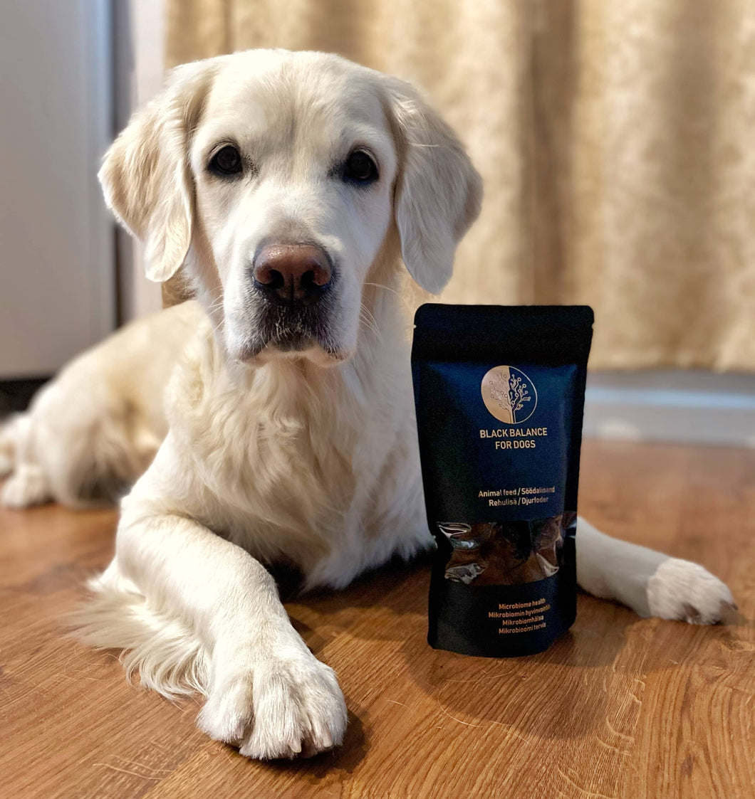 Black Balance for dogs microbiome wellbeing (30 servings = 1month)