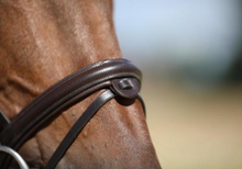 Load image into Gallery viewer, LJ Leathers NEW CLASSIC bridle with flash noseband + web reins
