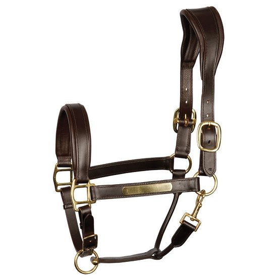 Harry's Horse leather halter